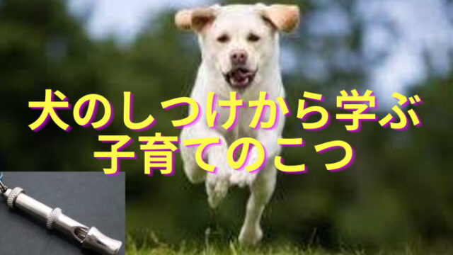 タイトル　犬のしつけ