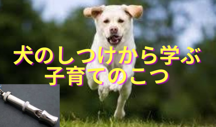 タイトル　犬のしつけ