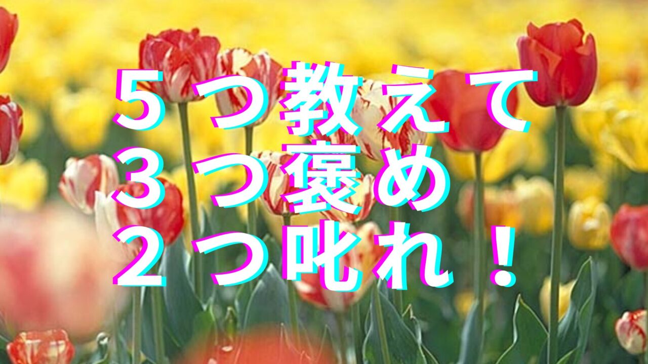 タイトル　５つ教えて、３つ褒め、２つ叱れ！