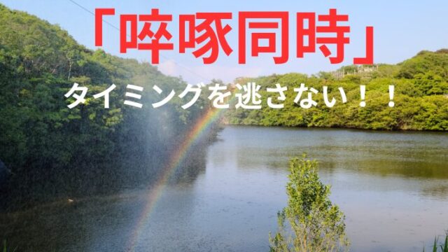 タイトル　啐啄同時　タイミング