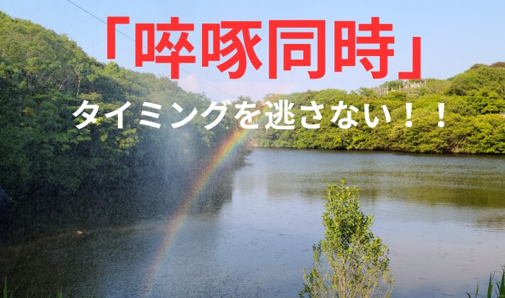 タイトル　啐啄同時　タイミング