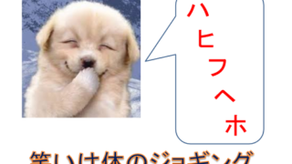 図表　笑いハヒフヘホ