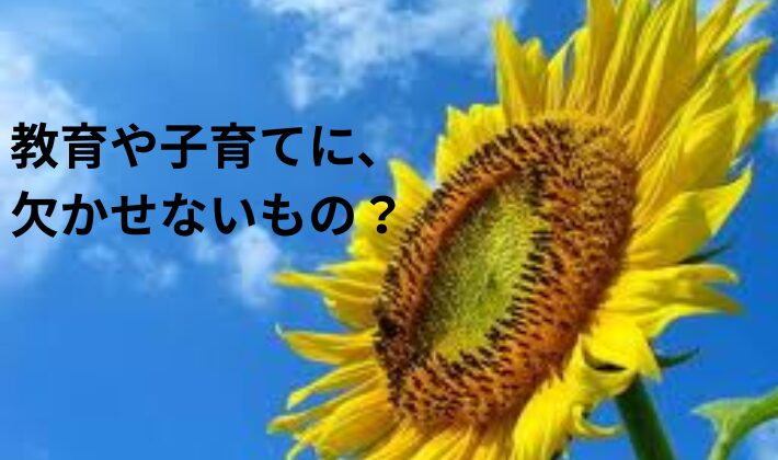 タイトル　土・水・光